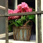 Sorgenfrei Und Restaurant Atelier Sanssouci Radebeul