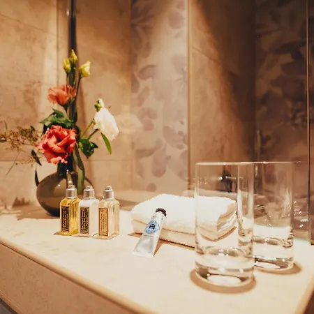 Sorgenfrei & Restaurant Atelier Sanssouci 4* Radebeul