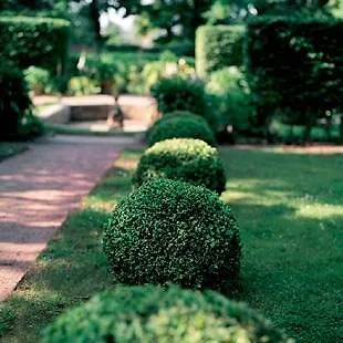 호텔 Sorgenfrei Und Restaurant Atelier Sanssouci 4*