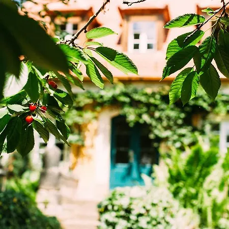 Sorgenfrei Und Restaurant Atelier Sanssouci