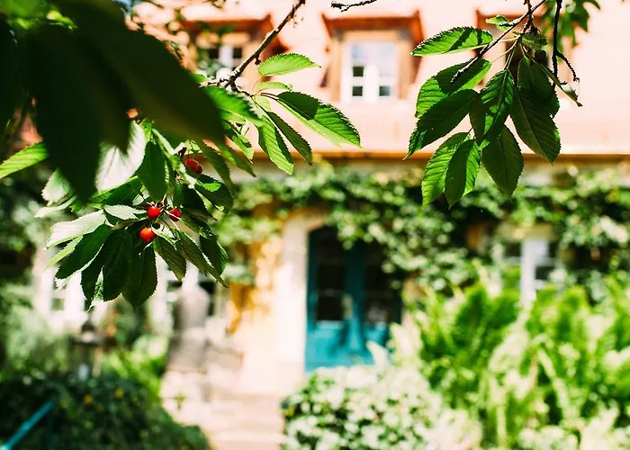 Sorgenfrei Und Restaurant Atelier Sanssouci