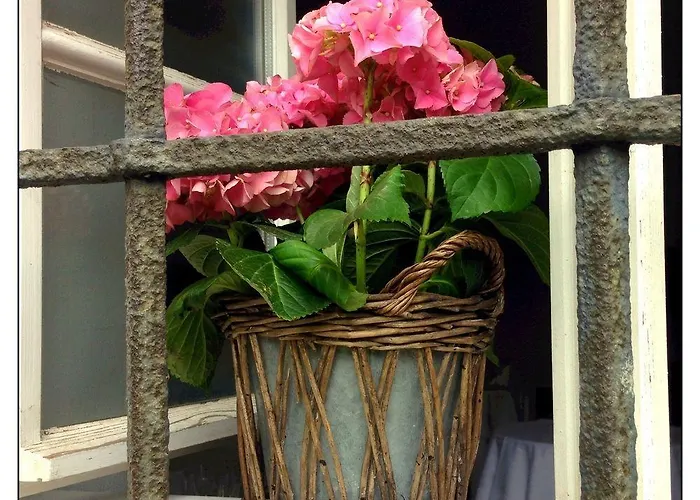 Sorgenfrei Und Restaurant Atelier Sanssouci Radebeul